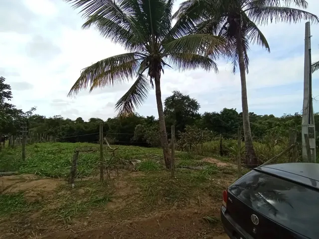Imagem 1: Black Sitio em Xuri em Vila, Parcelo, Troco, Negocio, Aceito Veículos e Propostas Leia