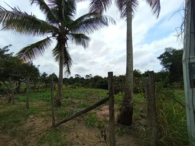 Imagem 4: Black Sitio em Xuri em Vila, Parcelo, Troco, Negocio, Aceito Veículos e Propostas Leia