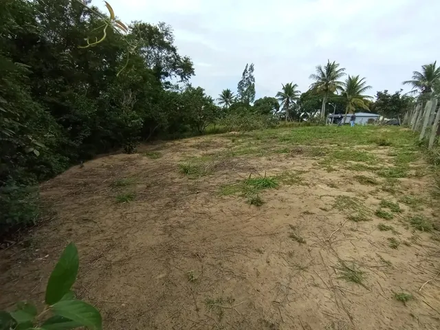 Imagem 7: Black Sitio em Xuri em Vila, Parcelo, Troco, Negocio, Aceito Veículos e Propostas Leia
