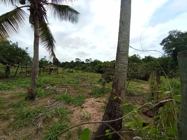 Imagem 9: Black Sitio em Xuri em Vila, Parcelo, Troco, Negocio, Aceito Veículos e Propostas Leia