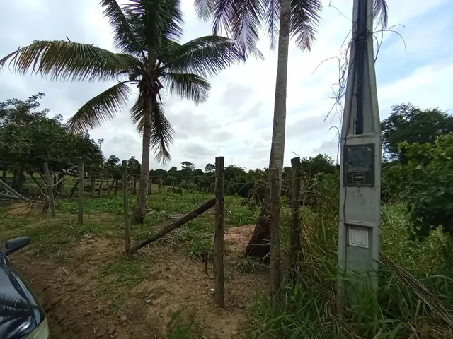 Imagem 10: Black Sitio em Xuri em Vila, Parcelo, Troco, Negocio, Aceito Veículos e Propostas Leia