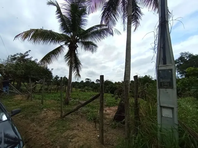 Imagem 11: Black Sitio em Xuri em Vila, Parcelo, Troco, Negocio, Aceito Veículos e Propostas Leia