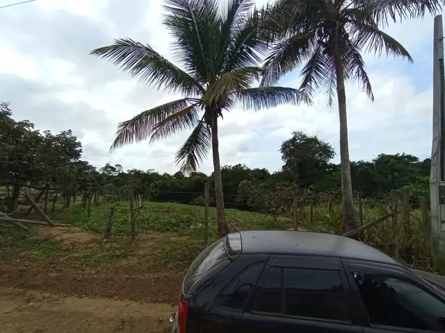 Imagem 12: Black Sitio em Xuri em Vila, Parcelo, Troco, Negocio, Aceito Veículos e Propostas Leia