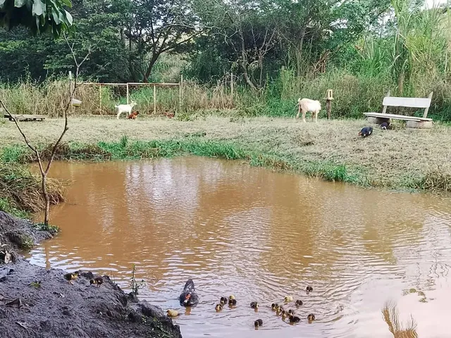 Imagem: Chácara Barata Top Viana