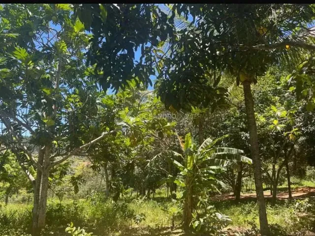 Imagem 2: Vila Velha - Sítio - Ponta da Fruta