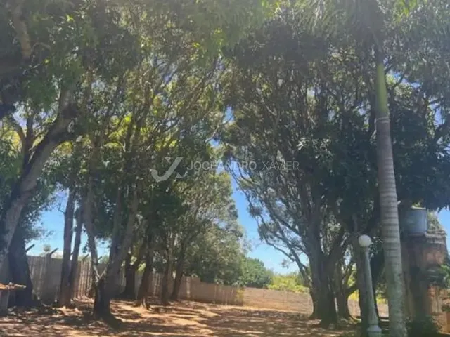 Imagem 11: Vila Velha - Sítio - Ponta da Fruta
