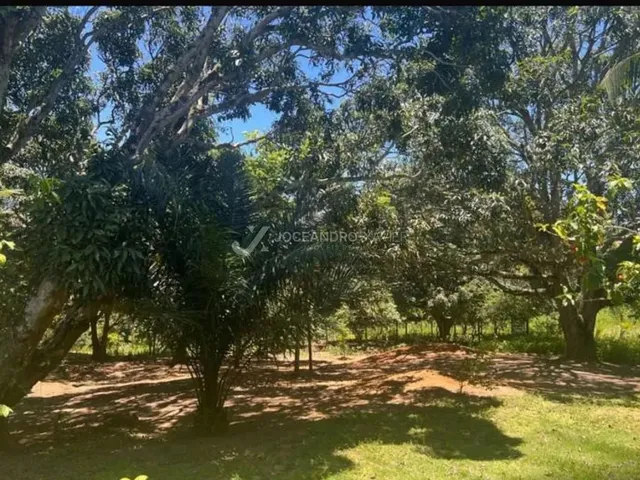 Imagem 5: Vila Velha - Sítio - Ponta da Fruta