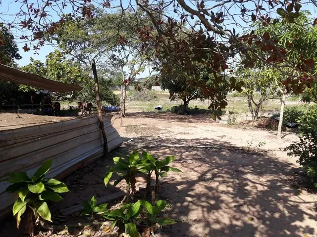 Imagem: Vende Se Terreno Com14000 Metros Quadrados