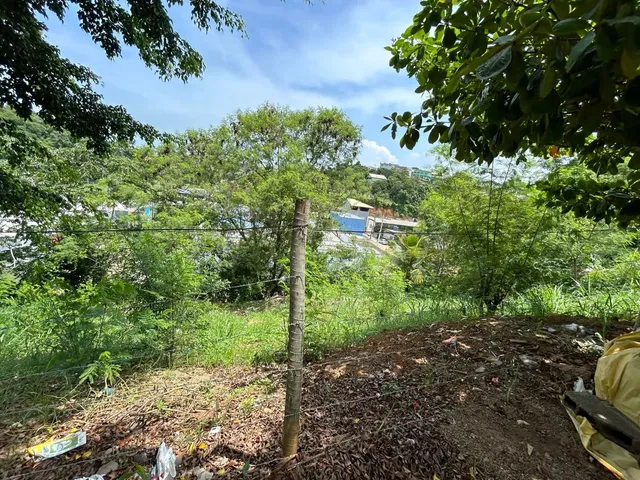 Imagem 8: Oportunidade Lotes em Marcílio de Noronha
