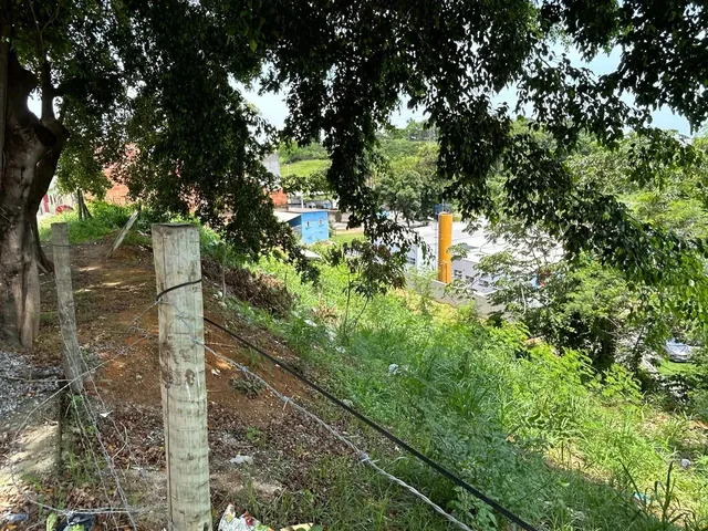 Imagem 9: Oportunidade Lotes em Marcílio de Noronha