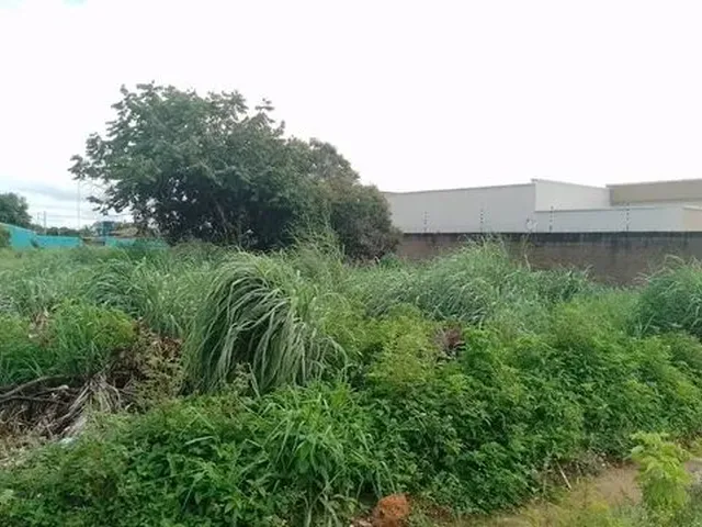 Imagem: Terreno no santa Cecília