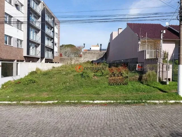 Imagem: Requinte Oferece