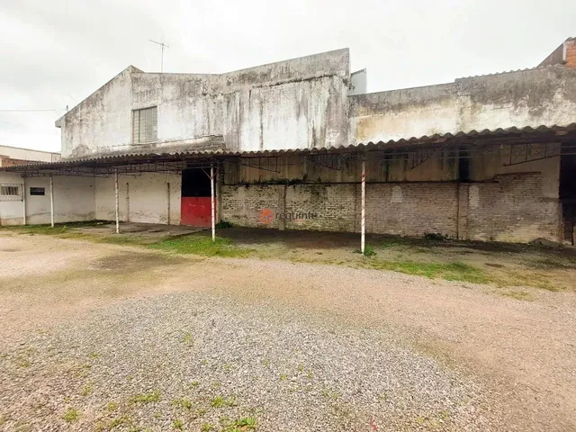 Imagem 14: .
