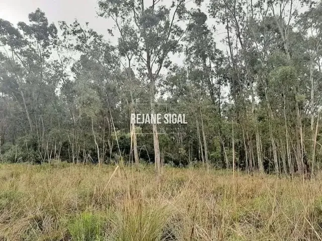 Imagem: Propriedade Rural em Cerrito