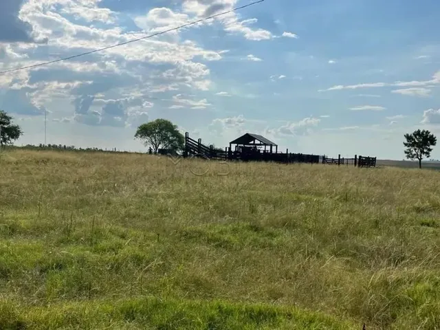 Imagem 14: Excelente Oportunidade de Negócio Rural