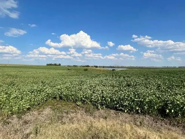 Imagem 3: Excelente Oportunidade de Negócio Rural