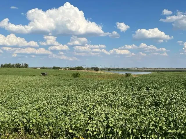 Imagem 12: Excelente Oportunidade de Negócio Rural