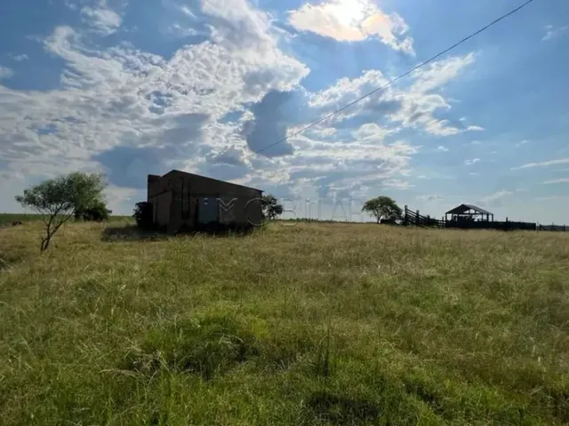 Imagem 4: Excelente Oportunidade de Negócio Rural