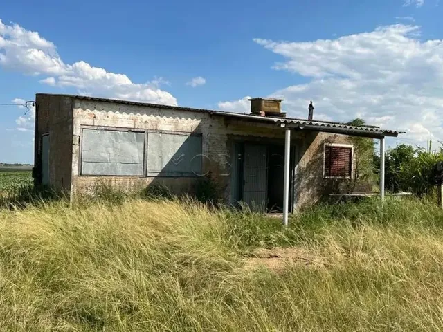 Imagem 7: Excelente Oportunidade de Negócio Rural