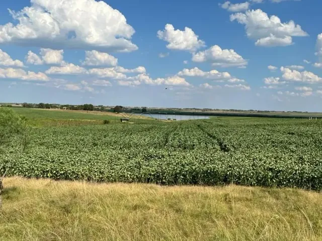 Imagem 6: Excelente Oportunidade de Negócio Rural