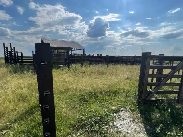 Imagem 13: Excelente Oportunidade de Negócio Rural