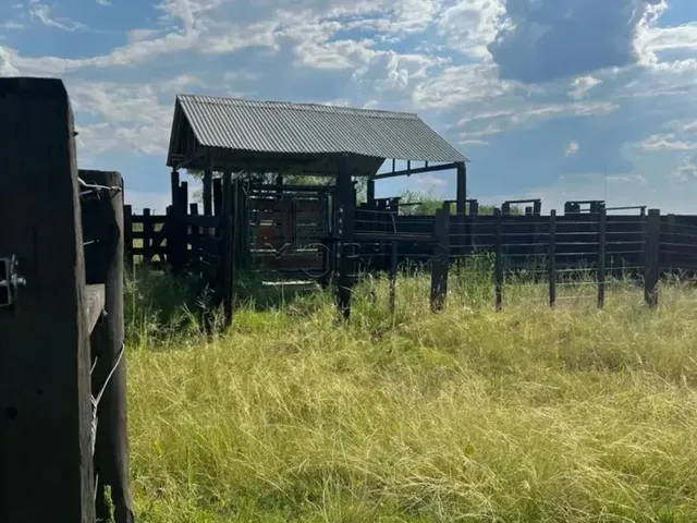 Imagem 9: Excelente Oportunidade de Negócio Rural