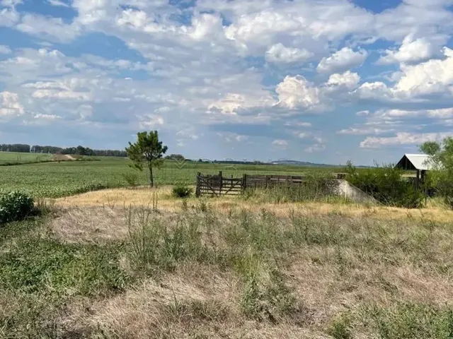 Imagem 11: Excelente Oportunidade de Negócio Rural