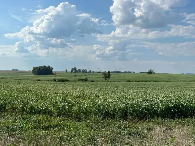 Imagem 15: Excelente Oportunidade de Negócio Rural