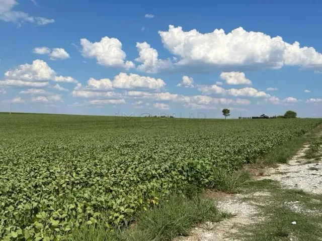 Imagem 5: Excelente Oportunidade de Negócio Rural