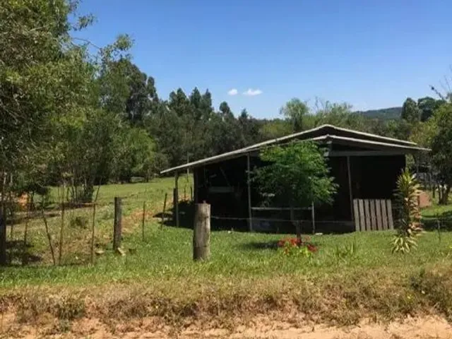 Imagem 3: Vendo Sítio na Cascata 5° Distrito de Pelotas