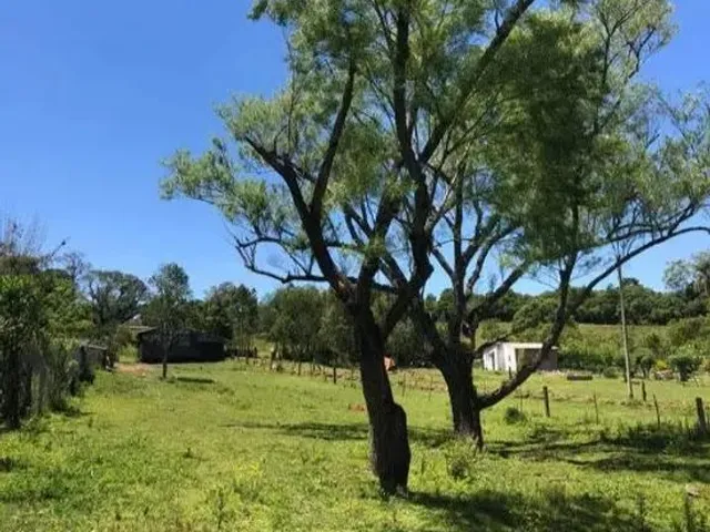 Imagem 4: Vendo Sítio na Cascata 5° Distrito de Pelotas