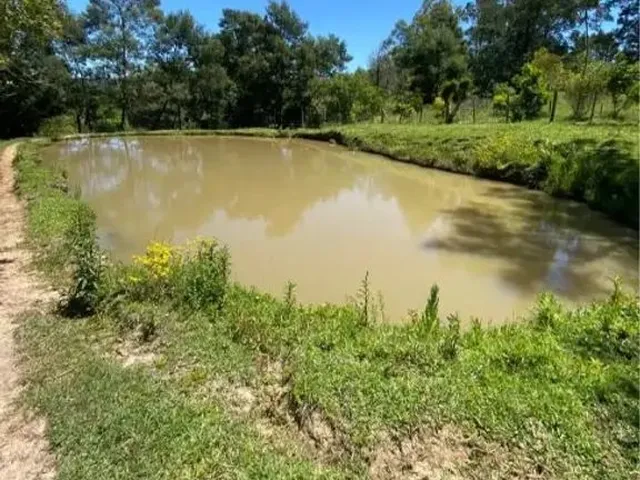 Imagem 10: Vendo Sítio na Cascata 5° Distrito de Pelotas