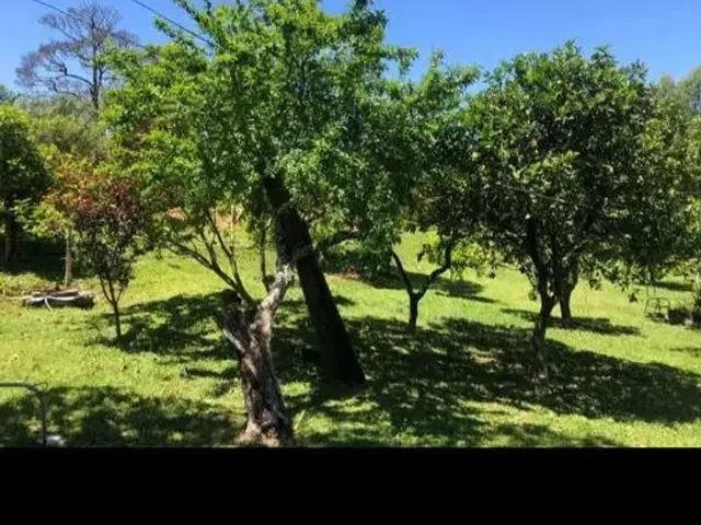 Imagem 12: Vendo Sítio na Cascata 5° Distrito de Pelotas