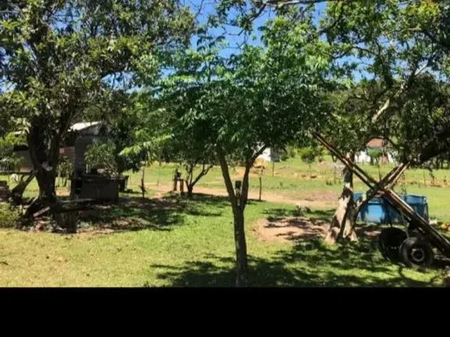 Imagem 13: Vendo Sítio na Cascata 5° Distrito de Pelotas