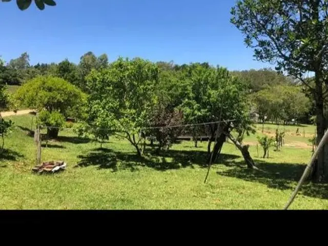 Imagem 15: Vendo Sítio na Cascata 5° Distrito de Pelotas