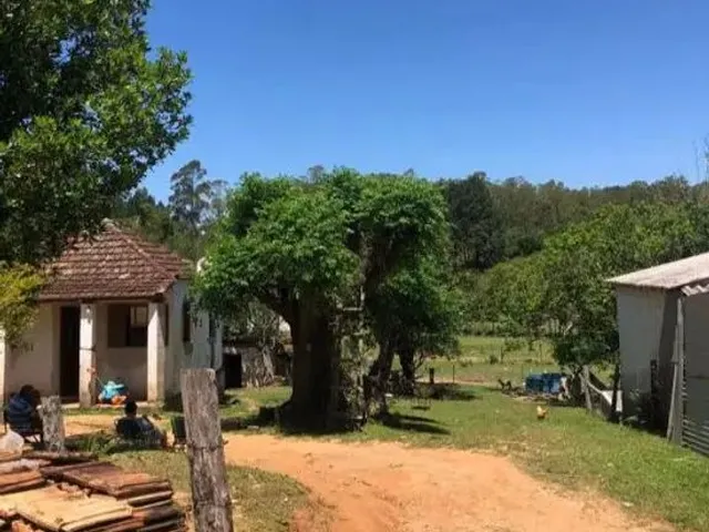 Imagem 14: Vendo Sítio na Cascata 5° Distrito de Pelotas
