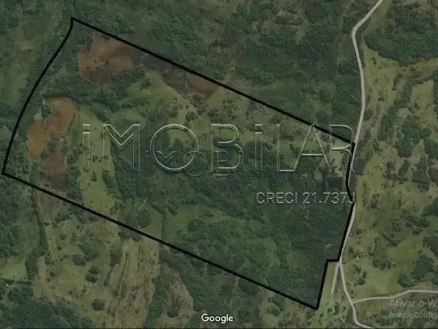 Imagem 1: Rural Chácara/Sítio em Pinheiro Machado