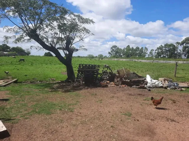 Imagem 4: Refúgio e Praticidade Perto da Cidade