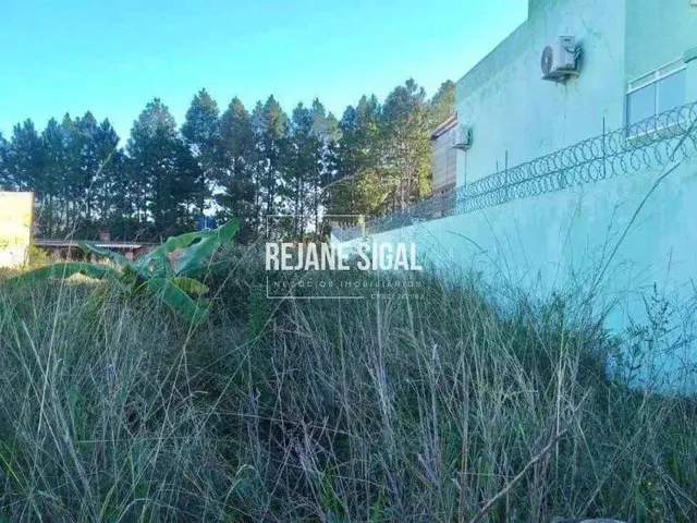 Imagem: Terreno no Sítio Floresta