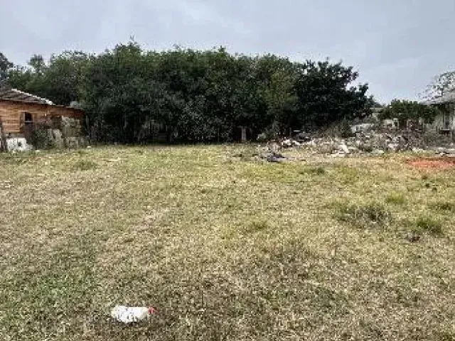 Imagem: Terreno À Venda em Centro, Capão do Leão