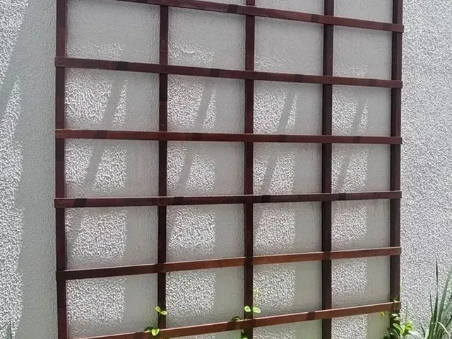 Imagem 16: Casa a Venda no Eusébio com Excelnete Espaço Externo