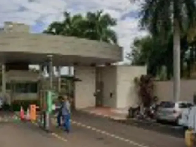 Imagem: Vale das Araucarias