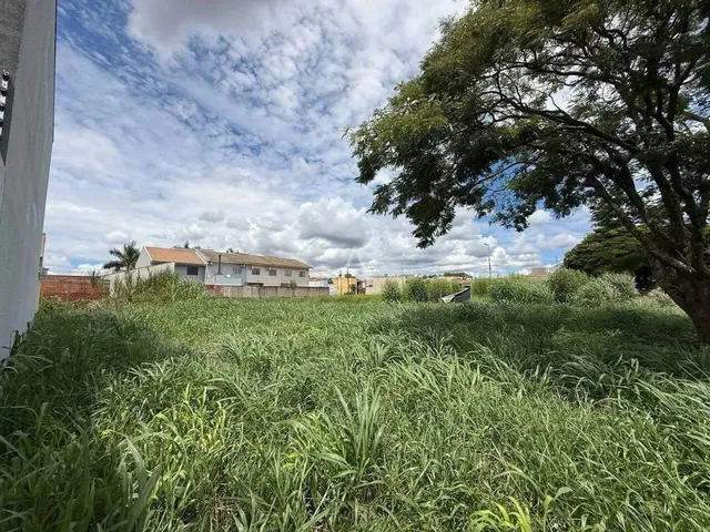 Imagem: Terreno À Venda no Bairro Jardim Gisela