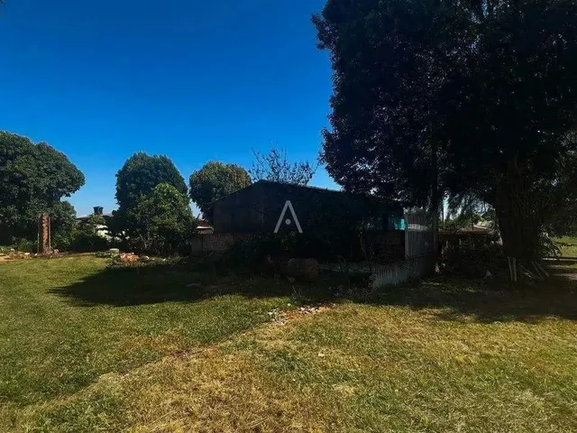 Imagem: Terreno À Venda no Bairro Cascavel Velho