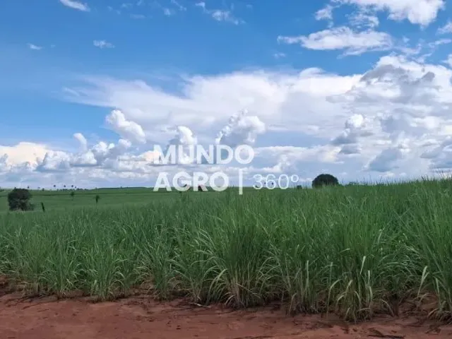 Imagem: A fazenda possui 411.400m² de Área, Imóvel novo e está