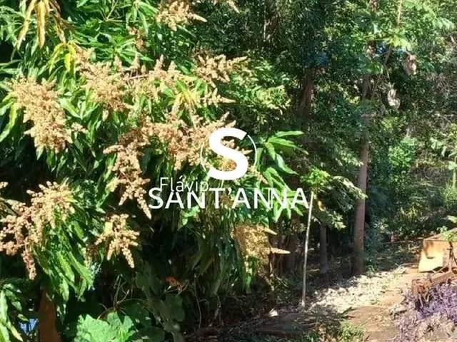 Imagem 9: Vende-Se Rancho Indiapora - Sp