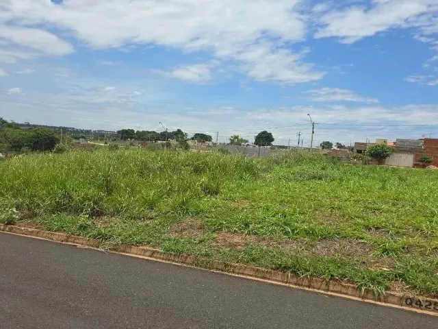 Imagem: Terreno 220 M² - Jardim dos Ipês - Potirendaba