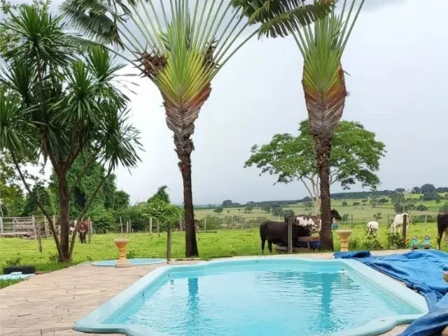 Imagem: Chácara no Asfalto com Piscina