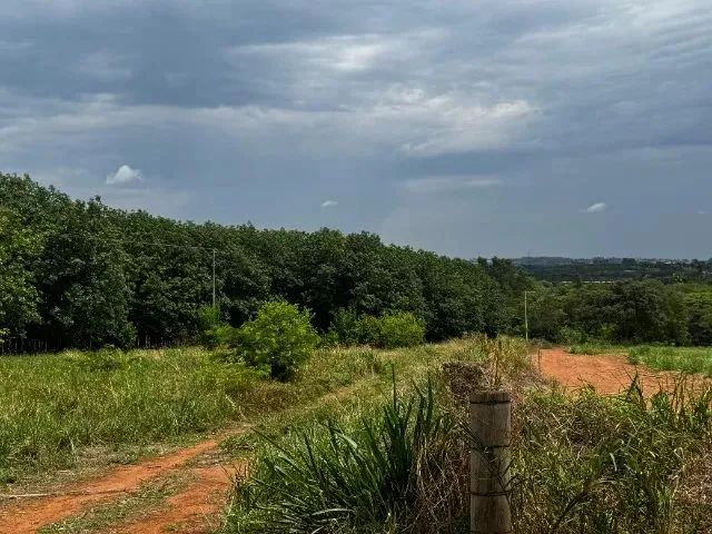Imagem: 8 Alqueires em Jales Somente 4 Km da Cidade!