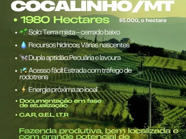 Imagem: Oportunidade de Fazenda Cocalinho Mt R$